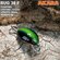 Воблер Akara Bug 38F 4 гр. 09
