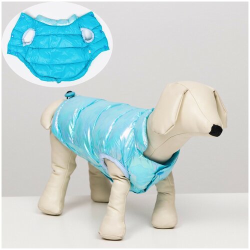 фото Куртка для собак двухсторонняя с утяжкой, размер 10 (дс 25 см, ог 34 см, ош 24 см), голубая сима-ленд