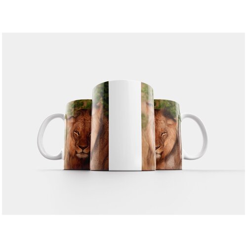 фото Кружка "лев, кения, дикая природа" 320 мл lotsprints