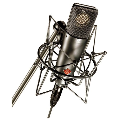 Студийный микрофон Neumann TLM 193 студийный монитор neumann kh 80 dsp a g eu