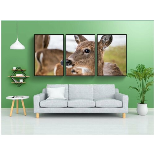 фото Набор модулных постеров для интерьера "олень, лань, животное" 60x90 см. в тубусе, без рамки lotsprints