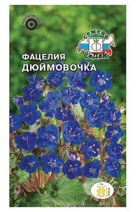 Семена фацелии СеДеК Дюймовочка ярко-синяя 05 г