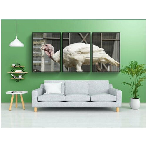 фото Набор модулных постеров для интерьера "компьютер, турция, домашняя птица" 60x90 см. в тубусе, без рамки lotsprints