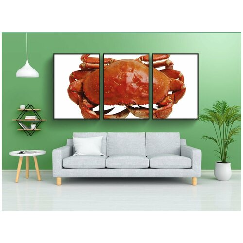фото Набор модулных постеров для интерьера "краб, морской, морепродукты" 60x90 см. в тубусе, без рамки lotsprints