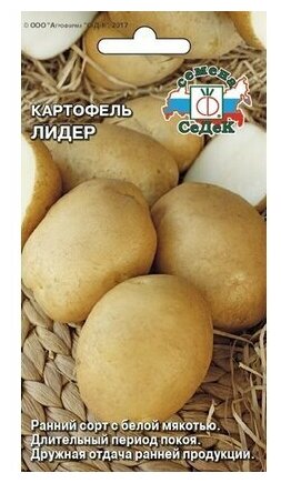 Семена картофель Лидер 002 г