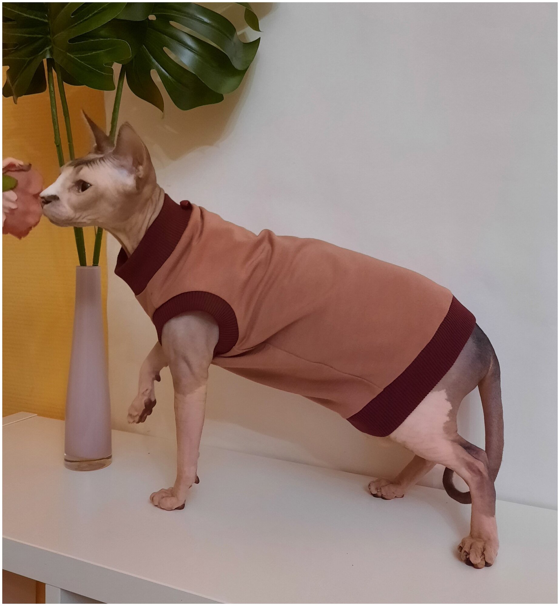 Свитшот для кошек, размер 40 (длина спины 40см), цвет розовая пудра/ толстовка свитшот свитер для кошек сфинкс / одежда для животных - фотография № 1