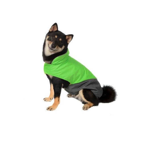 фото Tappi одежда попона блант для собак зеленая, размер l, спинка 38 см, лд22ос, 0,115 кг