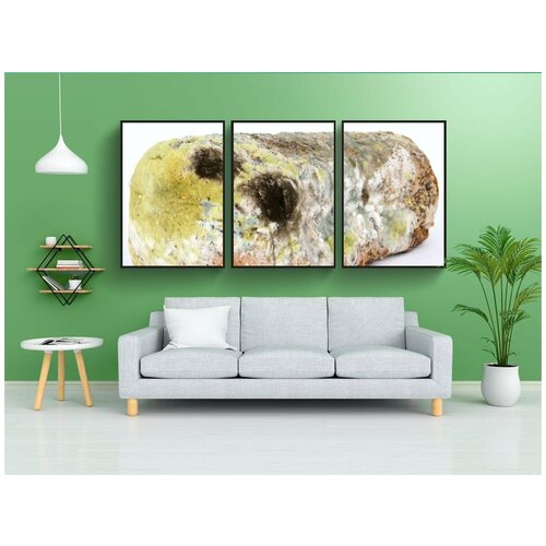 фото Набор модулных постеров для интерьера "возраст, бактерии, биография" 60x90 см. в тубусе, без рамки lotsprints