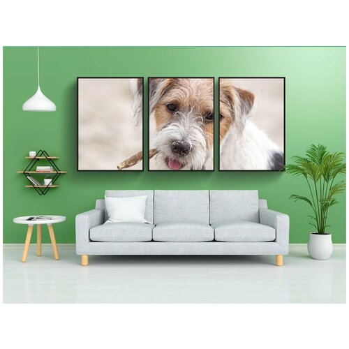 фото Набор модулных постеров для интерьера "собака, терьер, парсон" 60x90 см. в тубусе, без рамки lotsprints