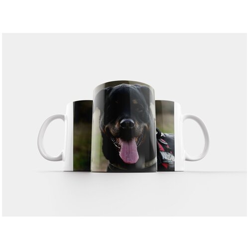 фото Кружка "мой, прекрасный, собака" 320 мл lotsprints