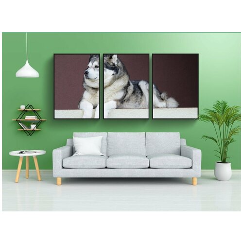 фото Набор модулных постеров для интерьера "аляскинский маламут, маламут, собака" 60x90 см. в тубусе, без рамки lotsprints