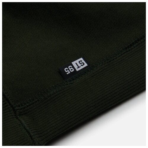 фото Мужская толстовка st-95 logo patch hoodie зелёный , размер m