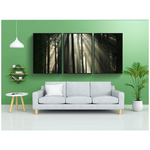 фото Набор модулных постеров для интерьера "лес, солнечные лучи, туман" 60x90 см. в тубусе, без рамки lotsprints