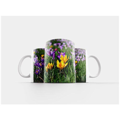 фото Кружка "крокус, крокусы, разноцветный" 320 мл lotsprints