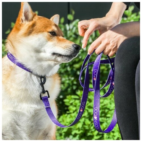 Поводок COSMO DOG, 2 см, 2 м