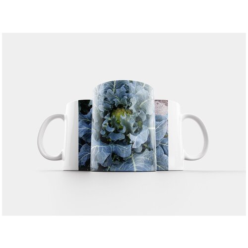 фото Кружка "капуста, сад, листья" 320 мл lotsprints