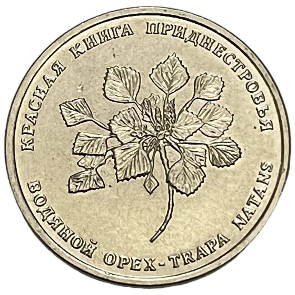 Приднестровье 1 рубль 2019 г. (Красная книга Приднестровья - Водяной орех)