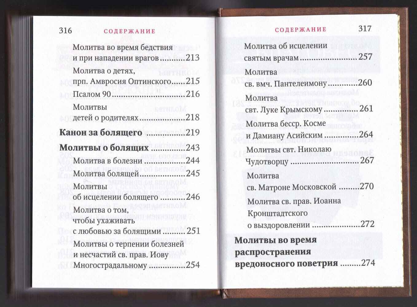 Молитвослов "Исцели меня, Боже" - фото №12