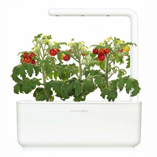Click And Grow Умный сад Click And Grow Smart Garden 3 томат черри (белый)