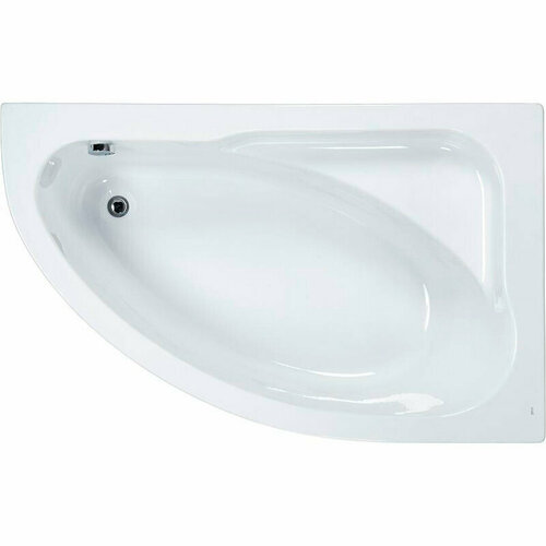 Акриловая ванна Roca Welna 160x100 R 248643000 без гидромассажа акриловая ванна royal bath alpine 160x100 r rb819101r без гидромассажа