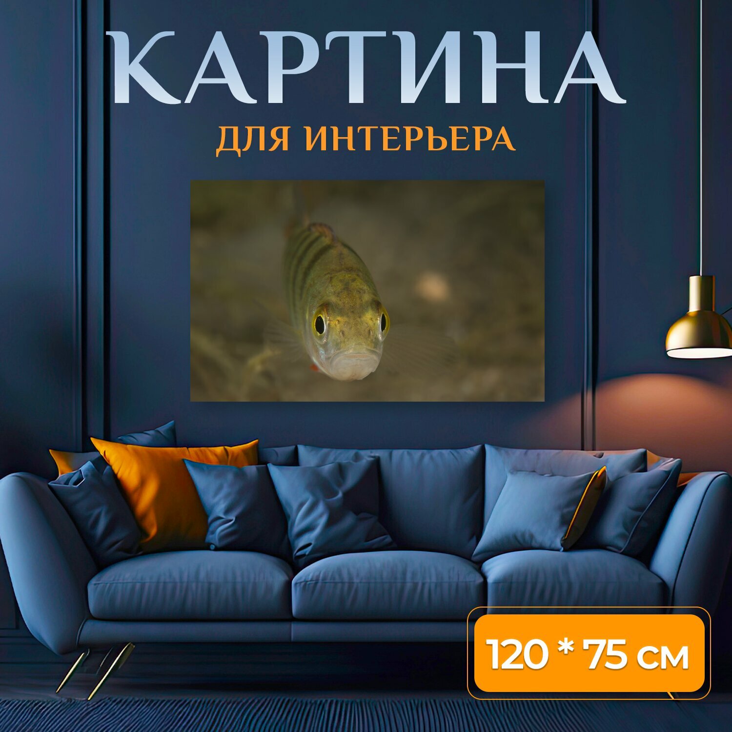 Картина на холсте "Окунь, рыбы, пресноводная рыба" на подрамнике 120х75 см. для интерьера