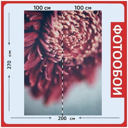 Фотообои Красный цветок блум цвести 200x270 см флизелиновыена стену 2940₽