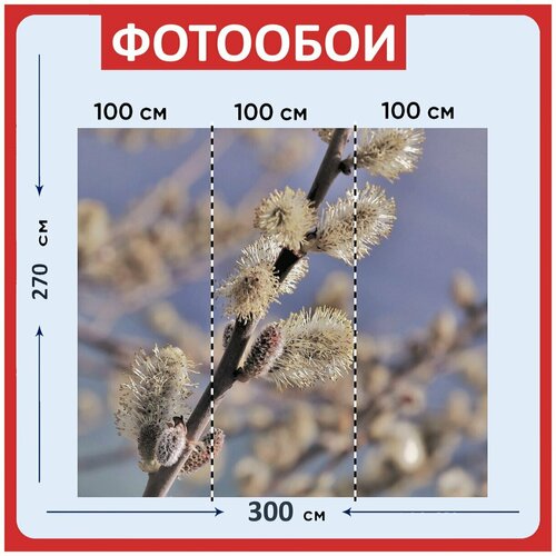 Фотообои Основание вниз бежевый 300x270 см флизелиновыена стену 3950₽
