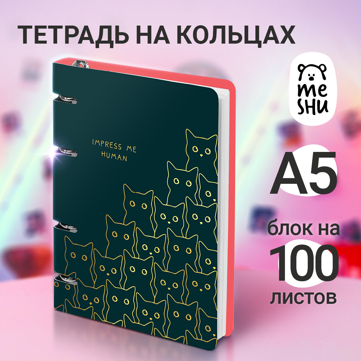 Тетрадь на кольцах А5, 100л, MESHU "Amazing cats", картон, матовая ламинация, выборочный УФ-лак