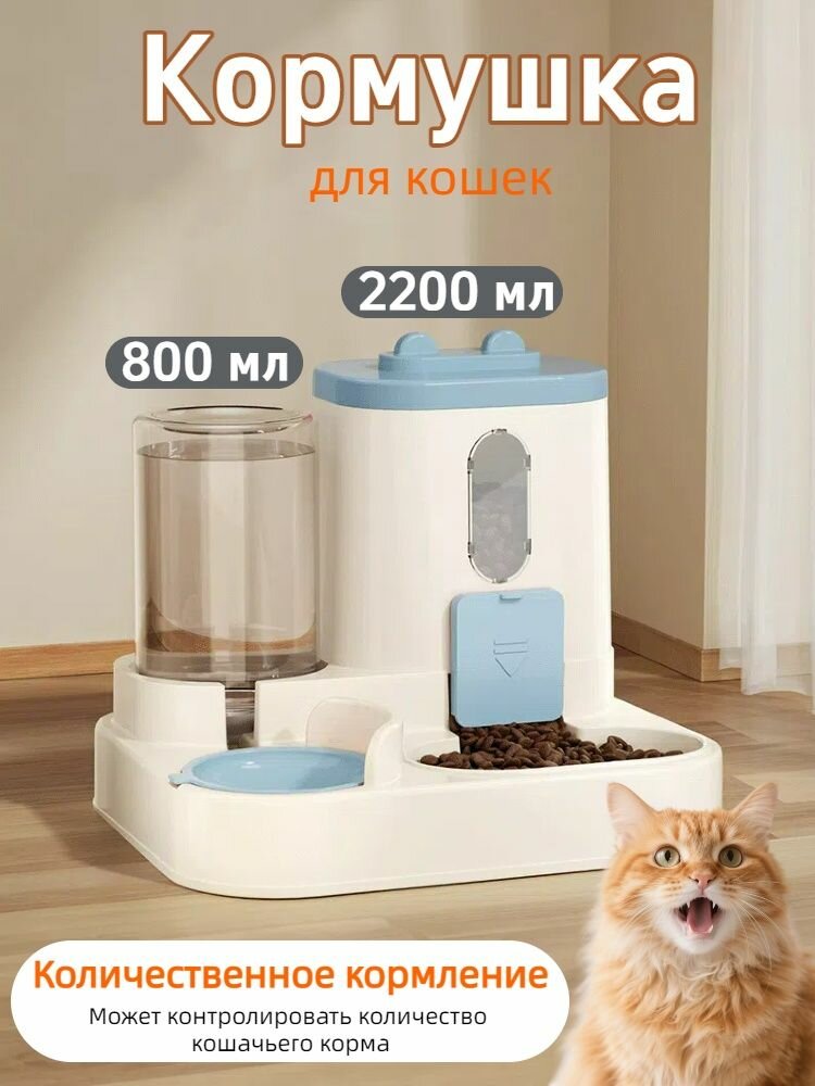 Кормушка для кошек 3000 мл большая емкость для сухого и влажного разделения синий