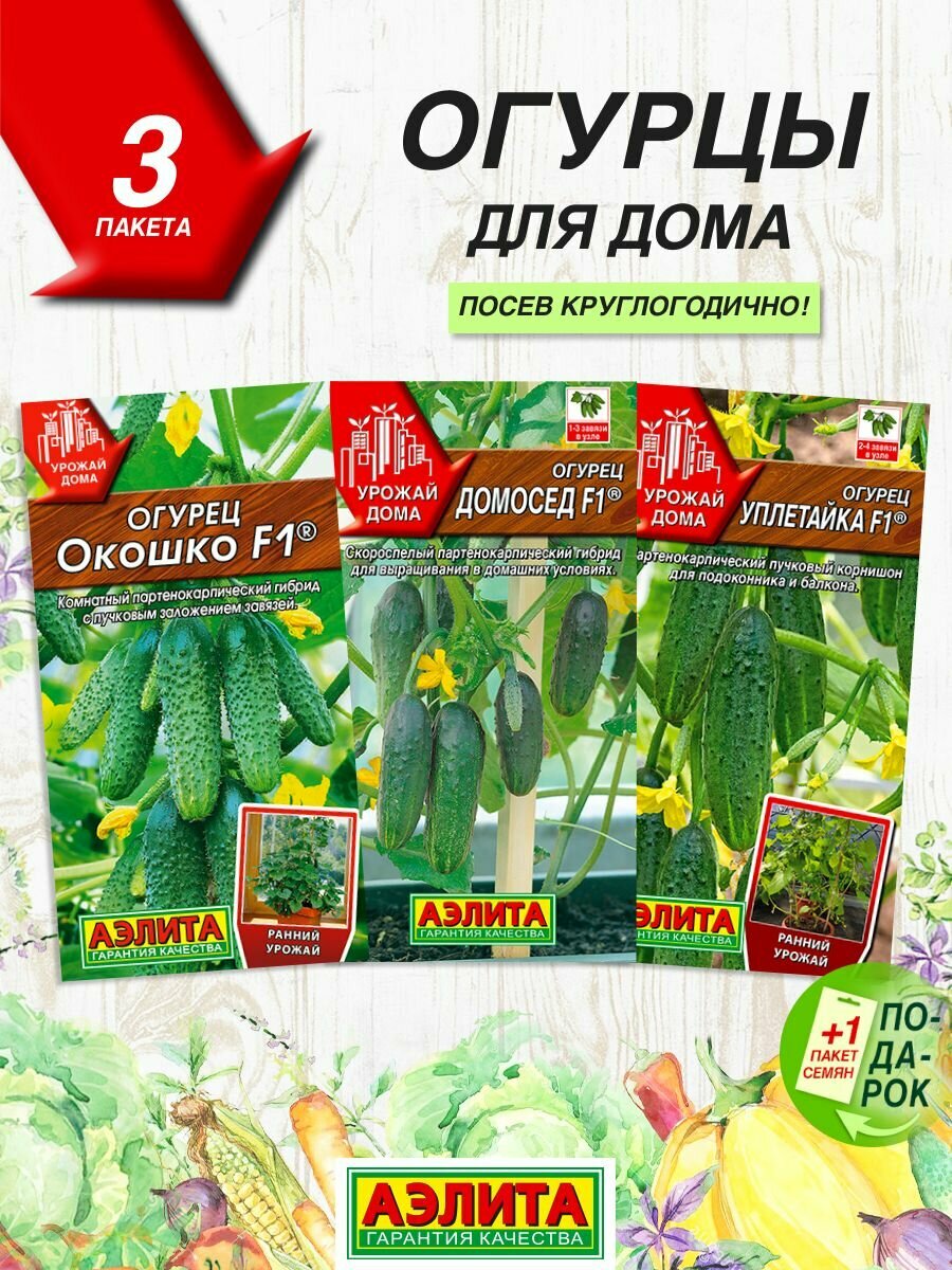 Семена овощей Аэлита Огурцы комнатные и балконные 3 сорта / Семена Огурцов