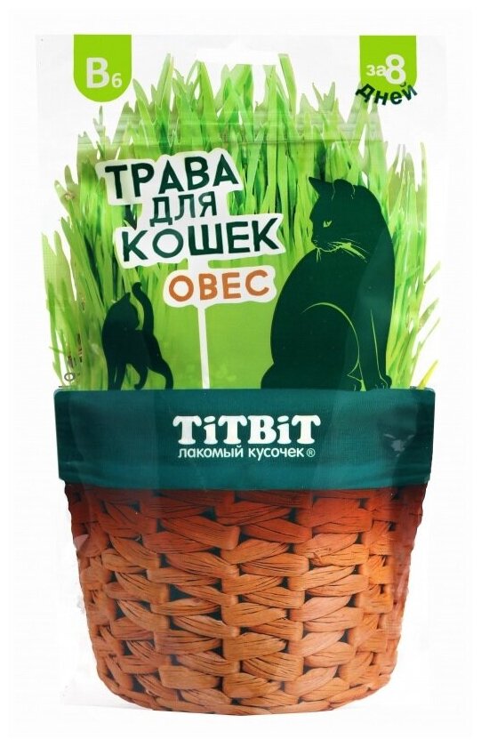 Лакомство для кошек TiTBiT Трава овес для проращивания 60 г - фотография № 6