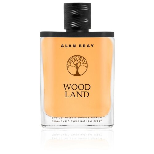 Alan Bray туалетная вода Woodland, 100 мл, 403 г туалетная вода мужская alan bray l homme absolute тв 100 мл