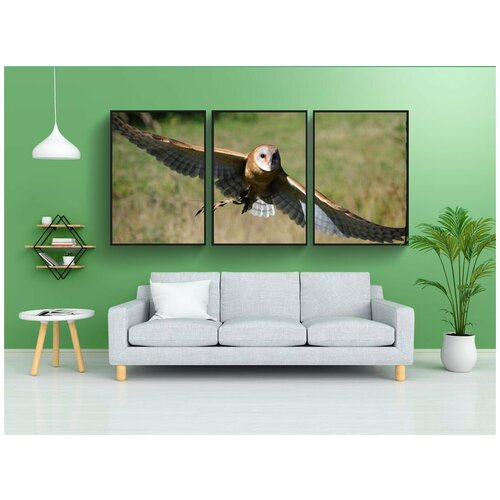 фото Набор модулных постеров для интерьера "птица, дикая природа, животное" 60x90 см. в тубусе, без рамки lotsprints