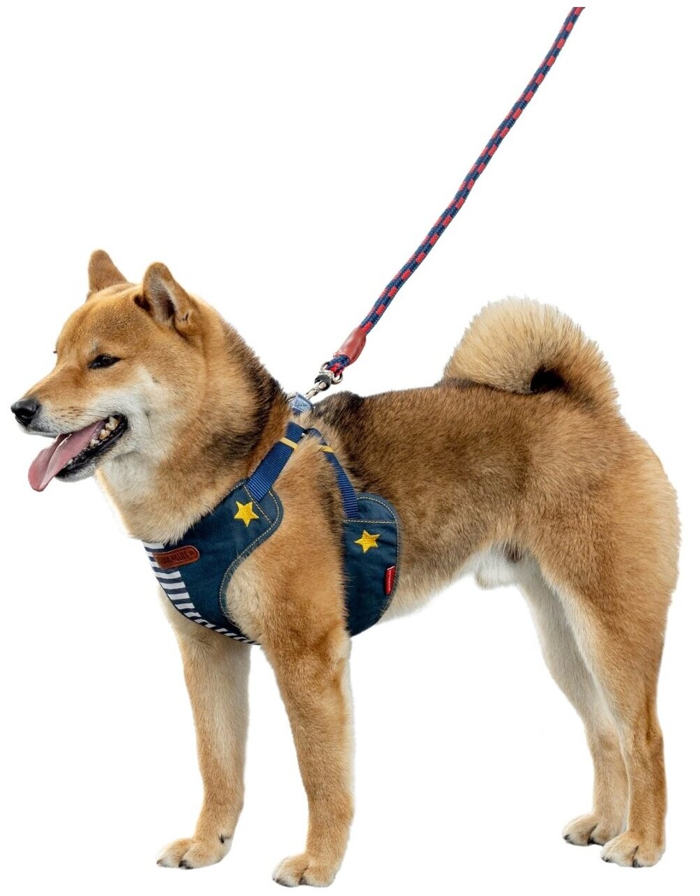 Шлейка для собак мелких пород Japan Premium Pet "Английский стиляга", цвет NAVY с синим, S