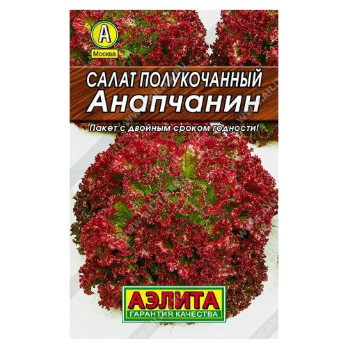 Семена Салат Анапчанин полукочанный (Аэлита) комплект семян салат анапчанин полукочанный х 3 шт