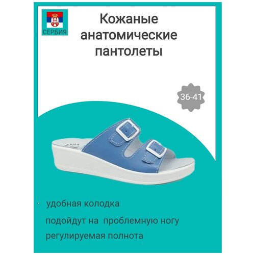 Сабо женские из натуральной кожи, ортопедические Fratelli Babb D-01 небесно-голубой, размер 37