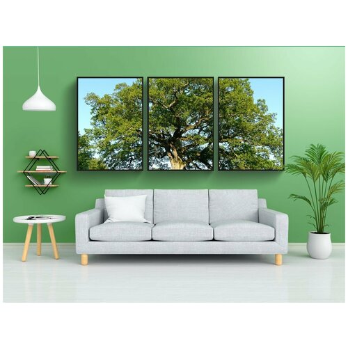 фото Набор модулных постеров для интерьера "дерево, дуб, большой" 60x90 см. в тубусе, без рамки lotsprints