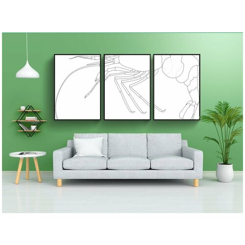 фото Набор модулных постеров для интерьера "моллюски, рак, настоящие лангусты" 60x90 см. в тубусе, без рамки lotsprints