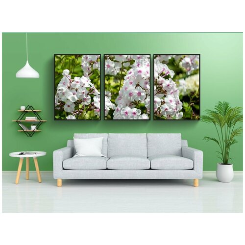 фото Набор модулных постеров для интерьера "флокс, цветок пламени, цветок" 60x90 см. в тубусе, без рамки lotsprints