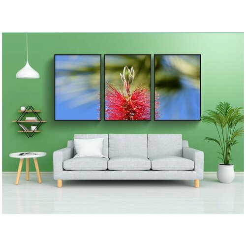 фото Набор модулных постеров для интерьера "лимоны-цилиндр штукатур, каллистемон цитринус, расцветает" 60x90 см. в тубусе, без рамки lotsprints