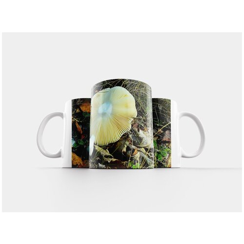 фото Кружка "гриб, лес, деревянный пол" 320 мл lotsprints