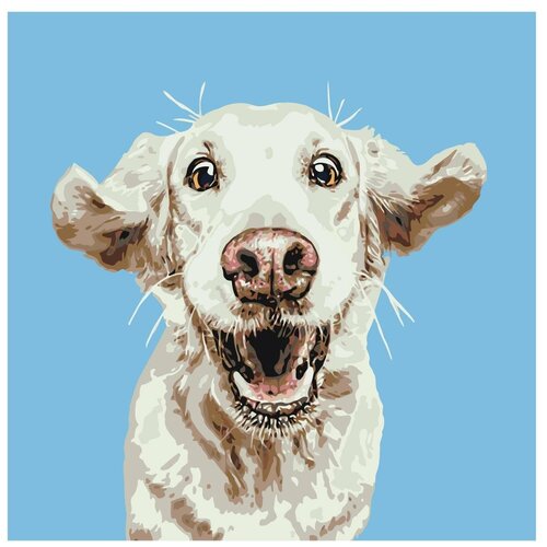 Картина по номерам, Живопись по номерам, 48 x 48, A166, счастливый пёс, собака, белый, лабрадор, домашний