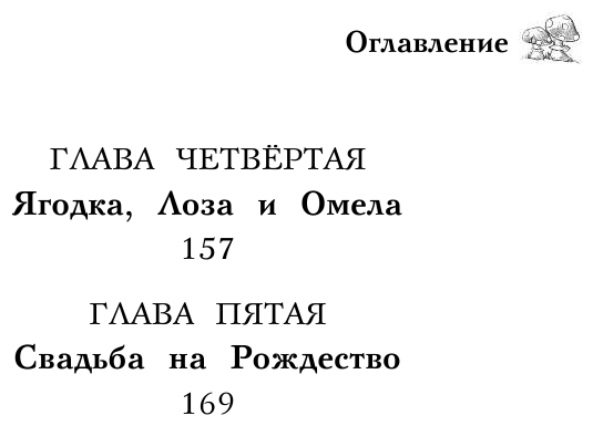 Щенок Холли, или Туфли для ведьмы - фото №15