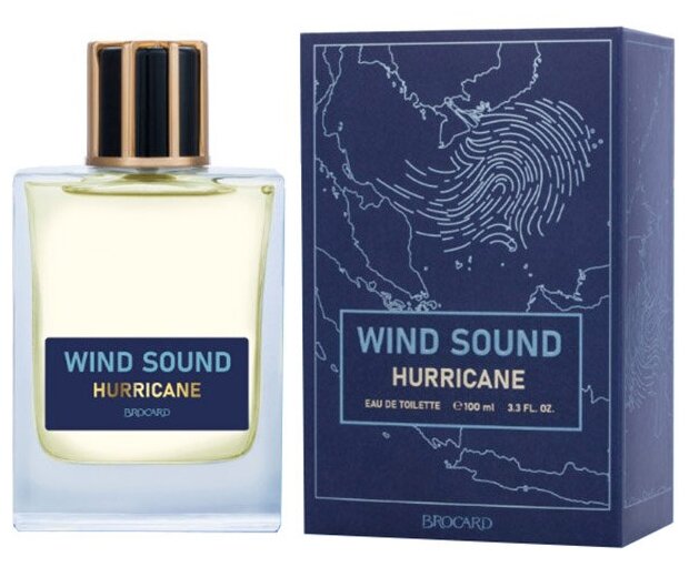 Brocard Мужской Wind Sound Hurricane Туалетная вода (edt) 100мл