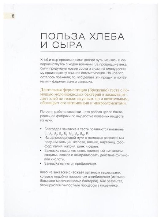 Вокруг хлеба и сыра. Домашний творог, мацони, рикотта, брынза и сырники в компании с пряной сдобой - фото №5