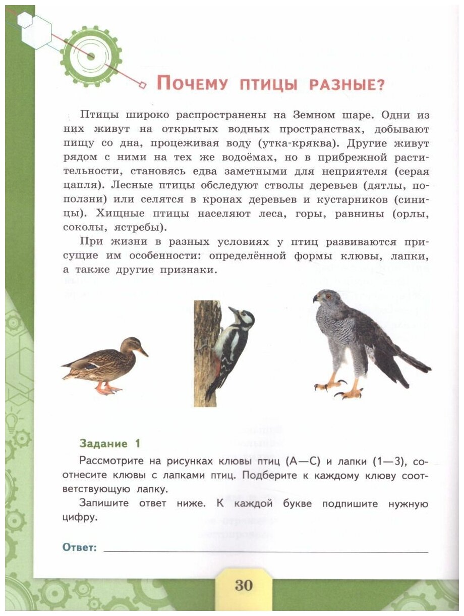 Естественно-научная грамотность. Сборник эталонных заданий. Выпуск 1 - фото №3