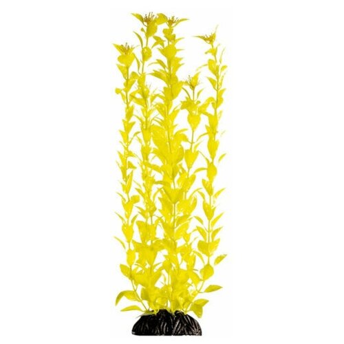 Растение Людвигия ярко-желтая, 400мм