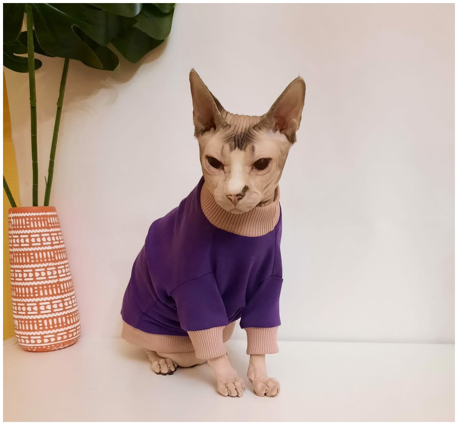 Толстовка для кошек, размер 30 (длина спины 30см), цвет фиолетовый/свитшот для кошек/для сфинксов/сфинкс/одежда для кошек - фотография № 1