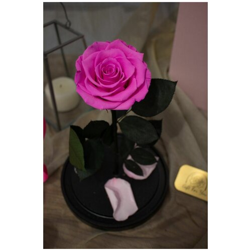 Роза в колбе живая Premium, подарочный набор для женщины, девочки, мамы, долговечный букет GIFT4YOU