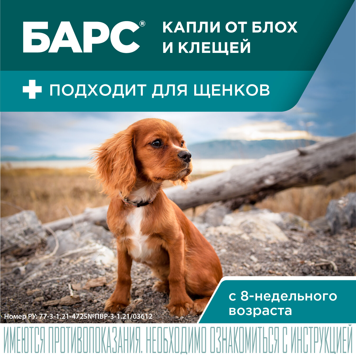 АВЗ барс капли инсектоакарицидные для собак до 10 кг (1 пип. по 0,67 мл) — фото 1